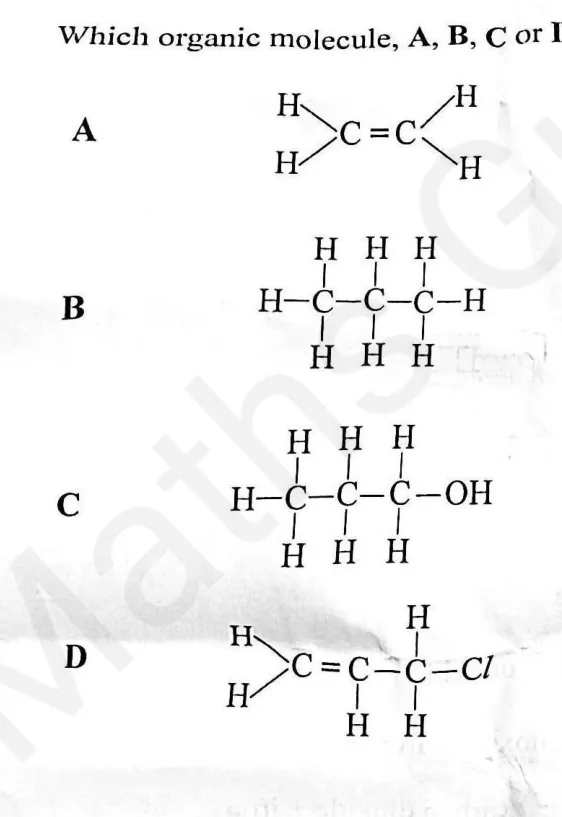 Diagram for Combined Science Paper 1 November 2025 Question 27