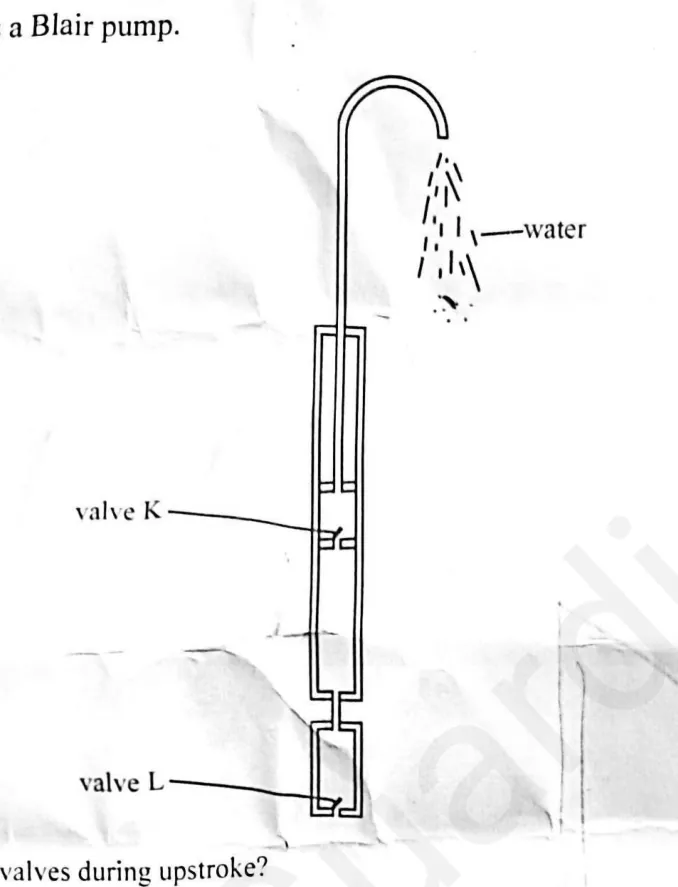 Diagram for Combined Science Paper 1 November 2025 Question 39