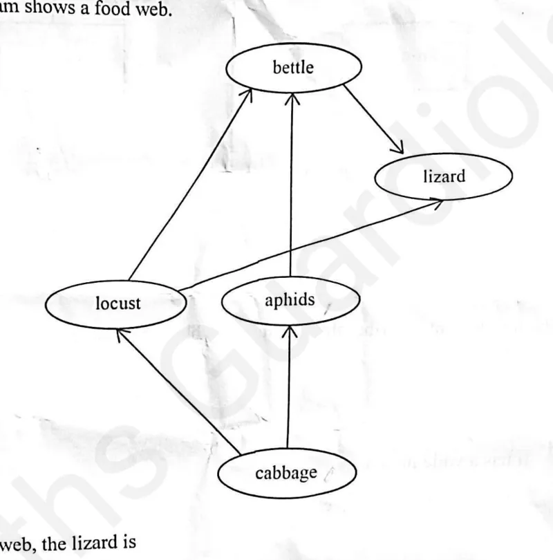 Diagram for Combined Science Paper 1 November 2025 Question 8