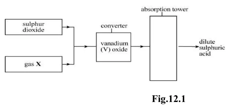 Diagram for Combined Science Paper 2 Specimen 2020 Section C, Question 12