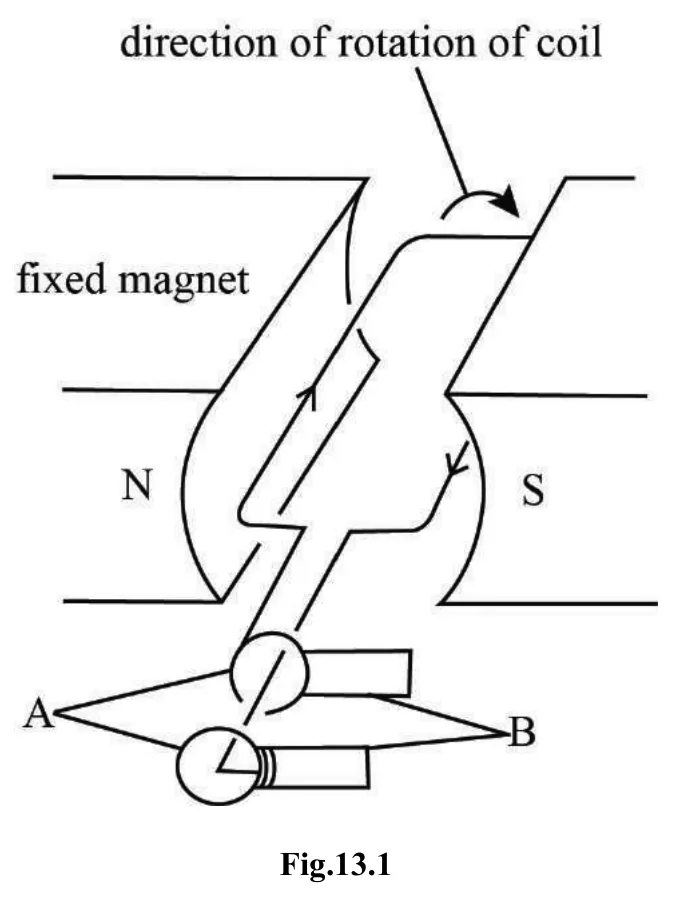 Diagram for Combined Science Paper 2 Specimen 2020 Section D, Question 13