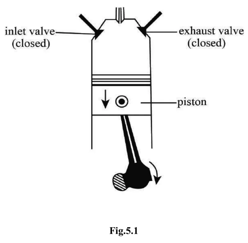 Diagram for Combined Science Paper 2 Specimen 2020 Section A, Question 5