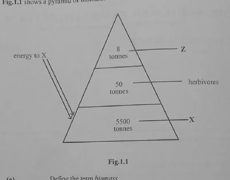 Biology - ZIMSEC Combined Science past paper diagram