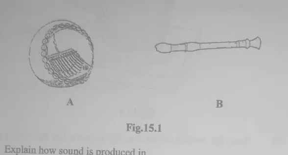 Diagram for Combined Science Paper 2 November 2022 Section D, Question 15