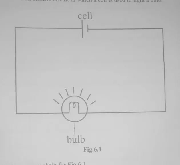 Diagram for Combined Science Paper 2 November 2022 Section A, Question 6