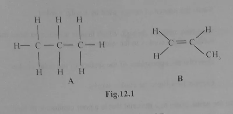 Diagram for Combined Science Paper 2 June 2023 Section C, Question 12