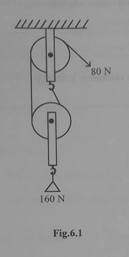 Diagram for Combined Science Paper 2 June 2023 Section A, Question 6