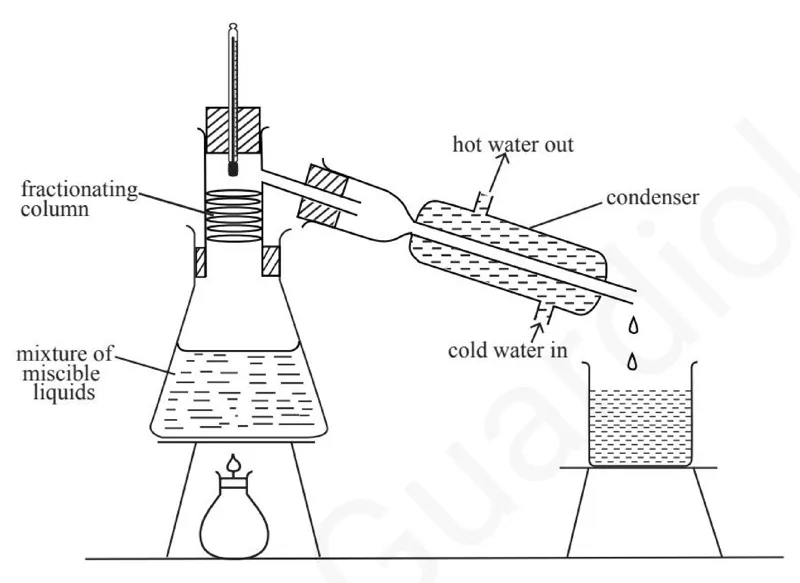 Diagram for Combined Science Paper 2 Specimen 2026 Section C, Question 10