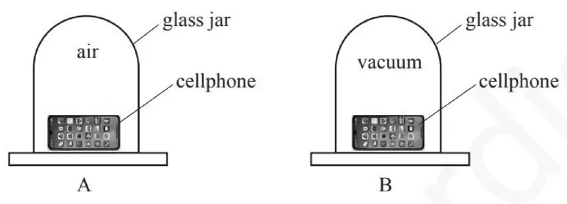 Diagram for Combined Science Paper 2 Specimen 2026 Section A, Question 5