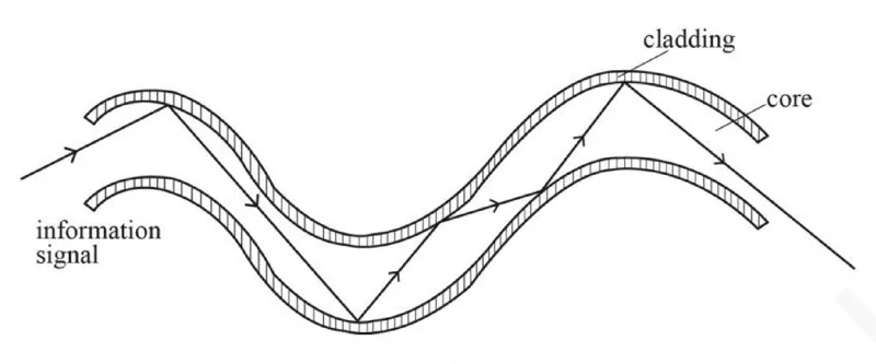 Diagram for Combined Science Paper 2 Specimen 2026 Section A, Question 6