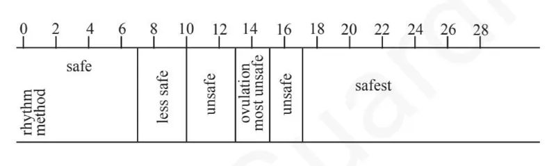 Diagram for Combined Science Paper 2 Specimen 2026 Section B, Question 8