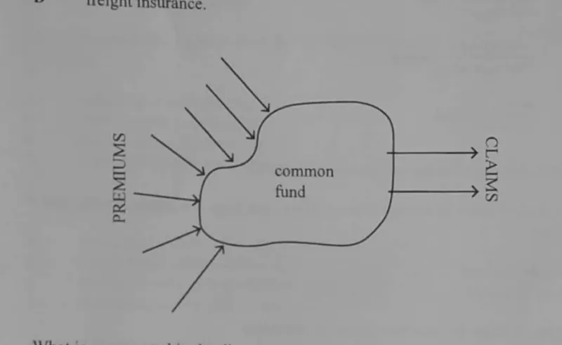 Insurance - ZIMSEC Commerce past paper diagram