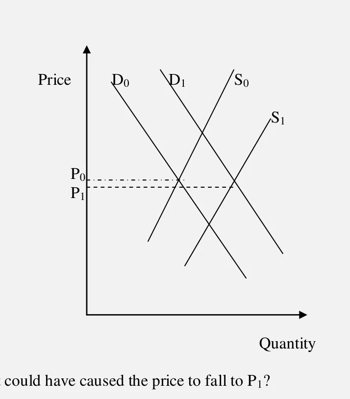 Diagram for Economics Paper 1 November 2002 Question 8