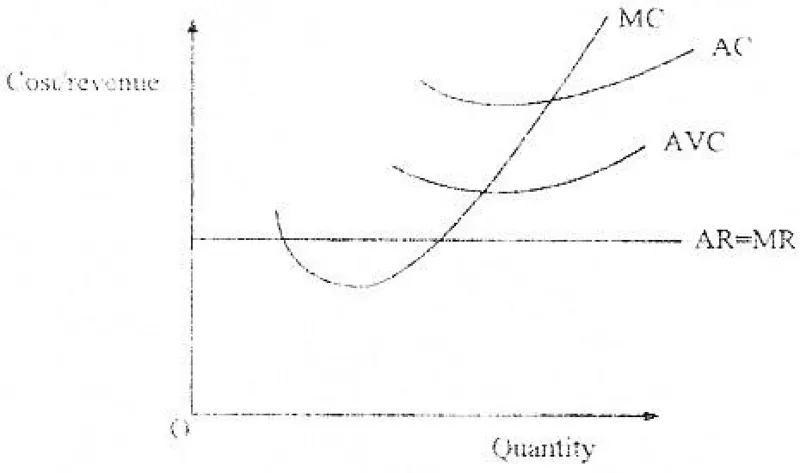Diagram for Economics Paper 1 June 2009 Question 15