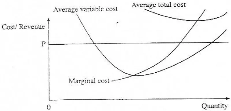 Diagram for Economics Paper 1 June 2010 Question 13