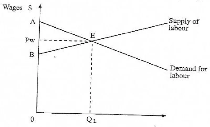 Diagram for Economics Paper 1 June 2010 Question 19