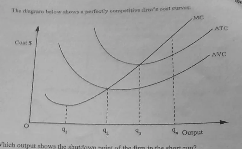 Diagram for Economics Paper 1 June 2011 Question 11