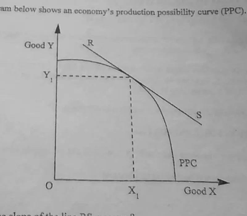 Diagram for Economics Paper 1 June 2011 Question 4