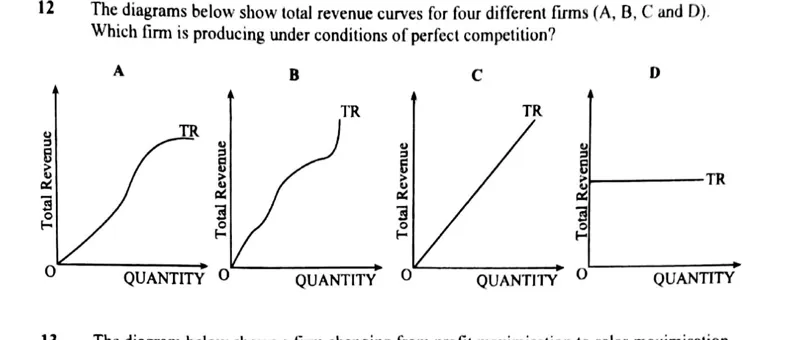 Diagram for Economics Paper 1 November 2013 Question 12