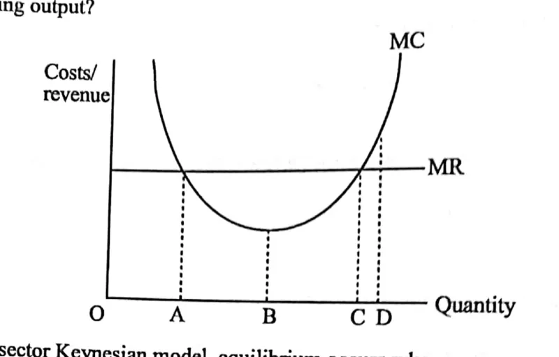 Diagram for Economics Paper 1 November 2019 Question 25