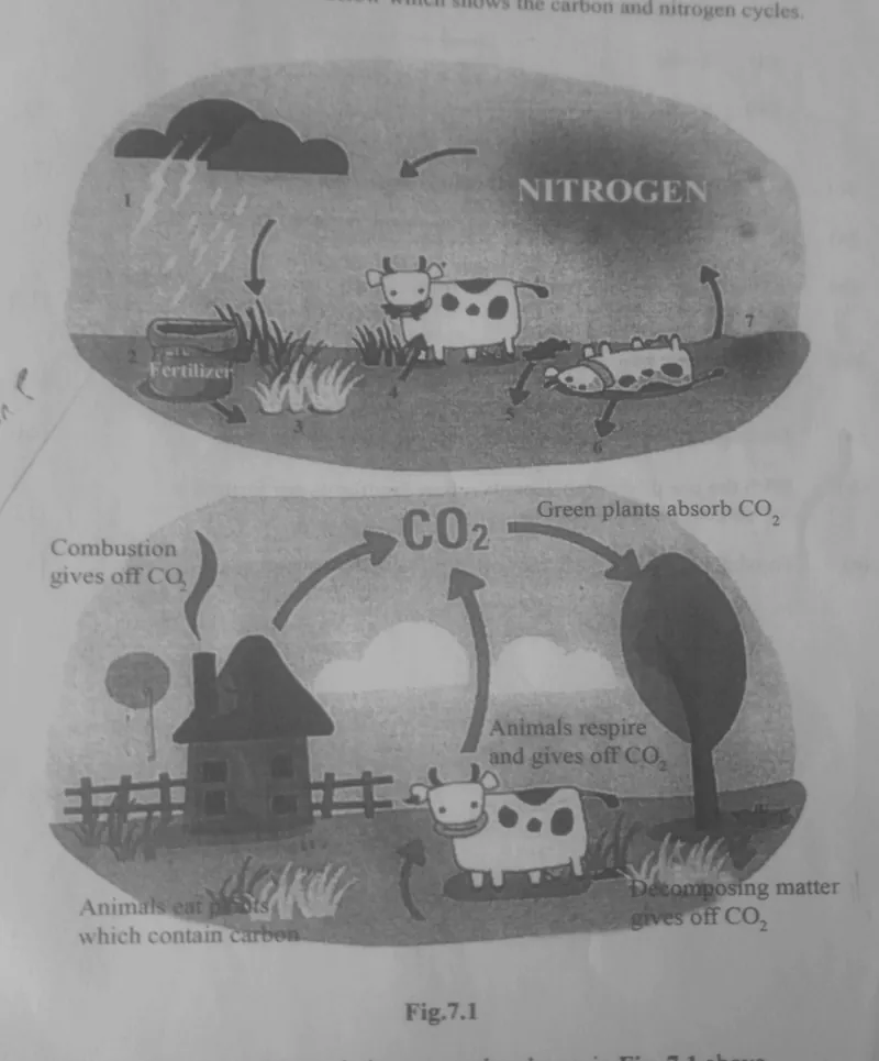 Diagram for Geography Paper 1 November 2023 Question 702