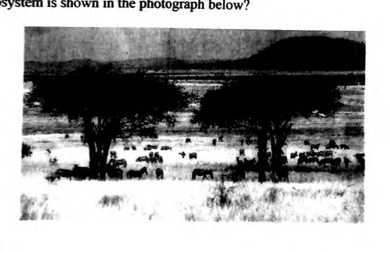 Diagram for Geography Paper 1 June 2023 Question 22