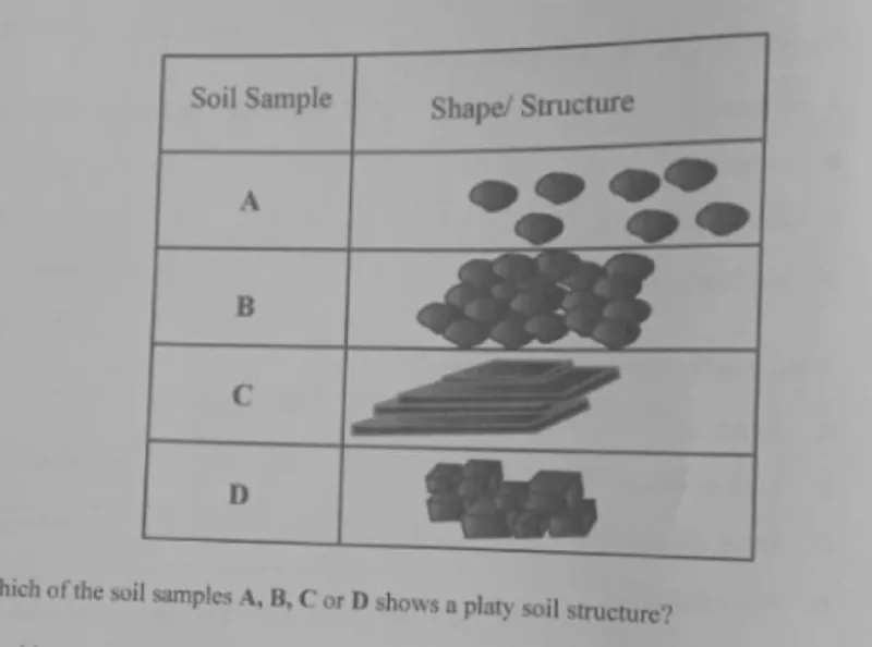 Diagram for Geography Paper 1 November 2024 Question 22