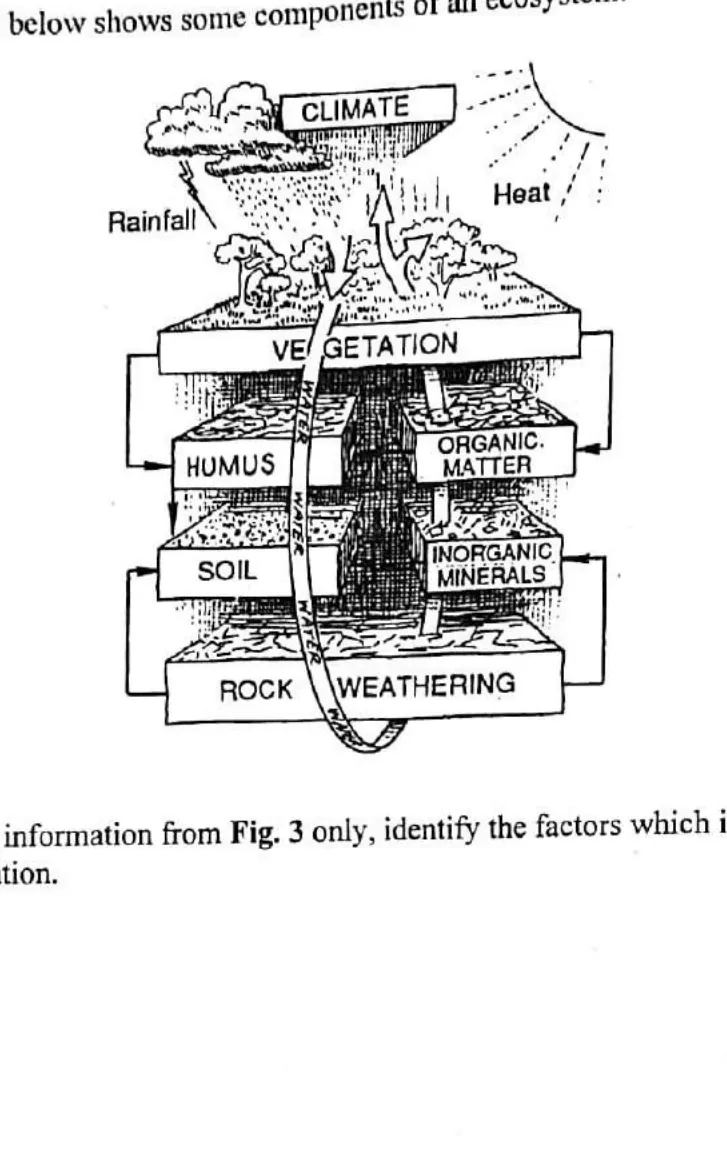 Desert animal and plant adaptation, ecosystem components and desertification - ZIMSEC Geography past paper diagram