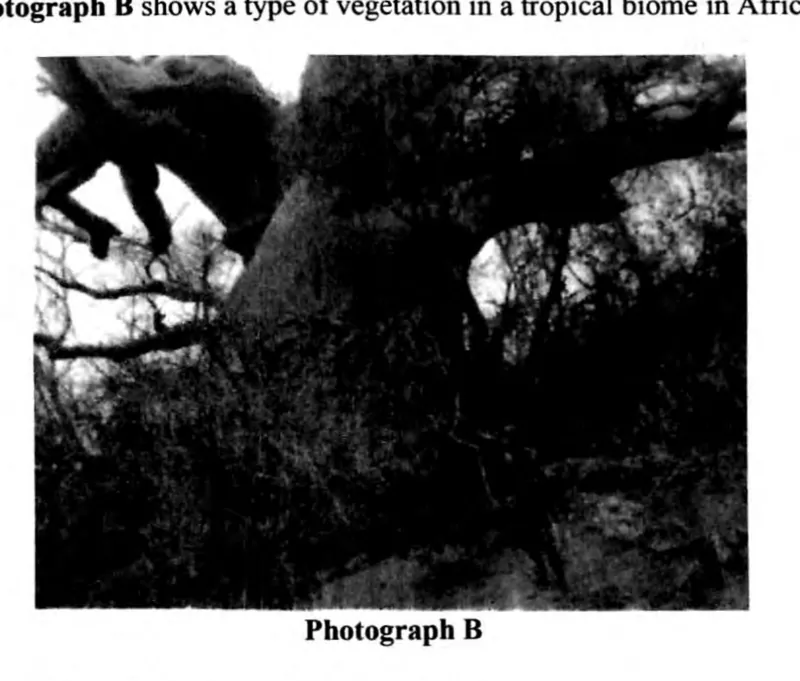 Diagram for Geography Paper 2 June 2023 Question 404