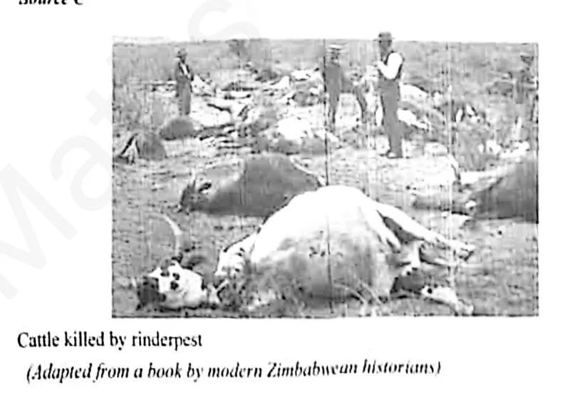 the First Chimurenga: the Ndebele Uprising of 1896 - ZIMSEC History past paper diagram