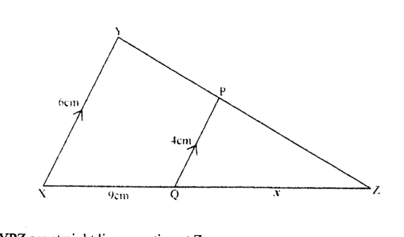 Diagram for Mathematics Paper 1 November 2024 Question 501