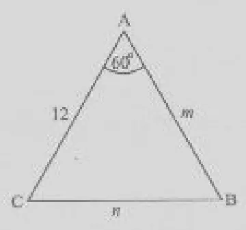 trigonometry / cosine rule - ZIMSEC Pure Mathematics past paper diagram