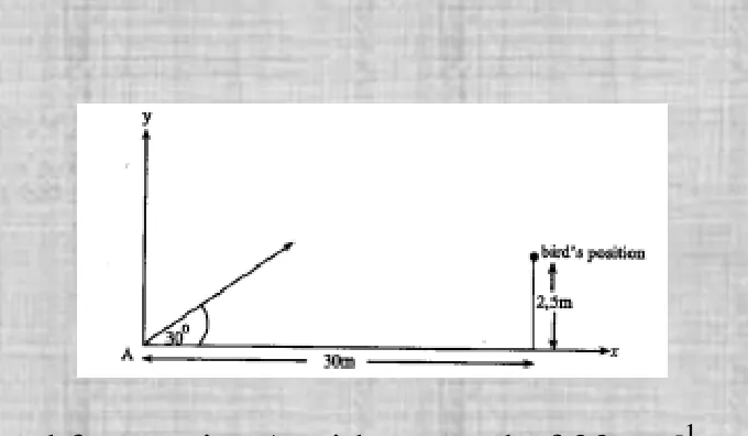 Diagram for Pure Mathematics Paper 2 November 2010 Section B, Question 8