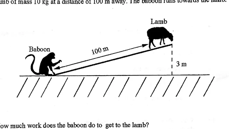 Diagram for Physics Paper 1 November 2021 Question 15