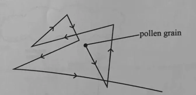Diagram for Physics Paper 1 November 2023 Question 26