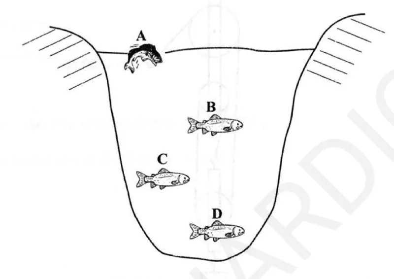 Diagram for Physics Paper 1 June 2025 Question 8