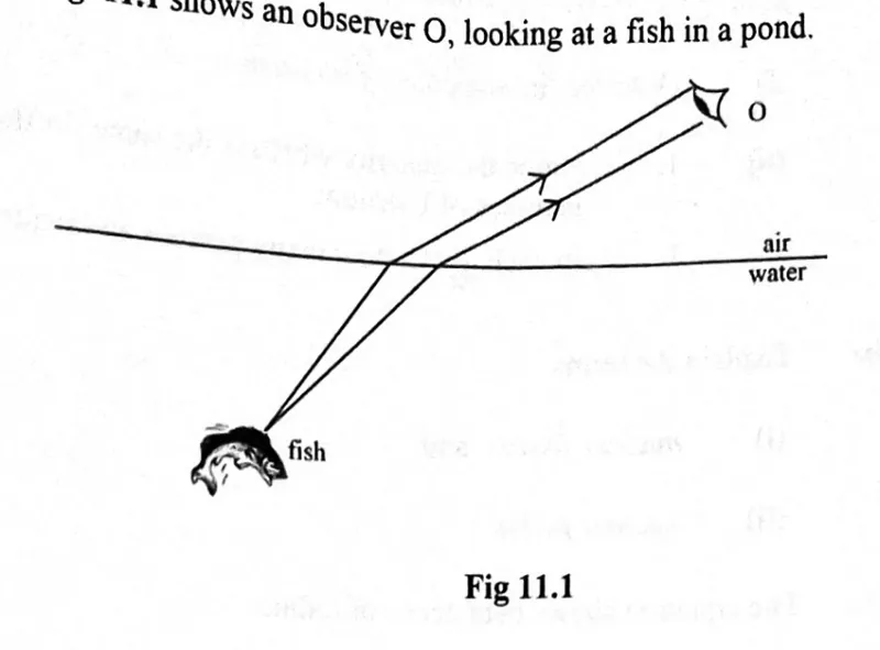 Diagram for Physics Paper 2 November 2023 Question 1107